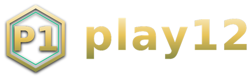 play12 logo